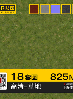 草地草皮干枯绿色草坪地面4k高清贴图pbr法线置换通道3d c4d素材