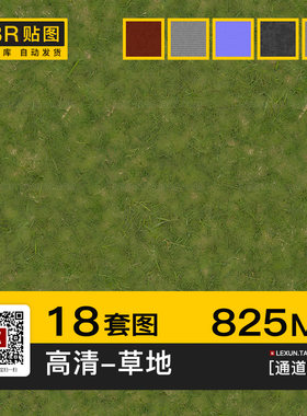草地草皮干枯绿色草坪地面4k高清贴图pbr法线置换通道3d c4d素材