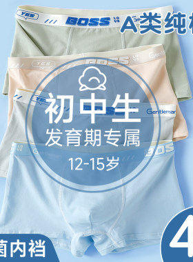 大童内裤男初中学生12岁青少年