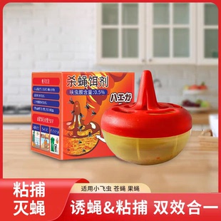 果蝇诱捕器杀蝇饵剂灭苍蝇贴捕捉神器强力粘蝇纸板自带诱饵小飞虫