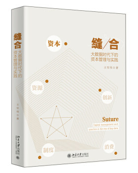 【出版社直供】缝合 大数据时代下的资本管理与实践 大数据时代下的资本要素是什么 如何轻松驾驭 经济理论法规经济理论 王军伟