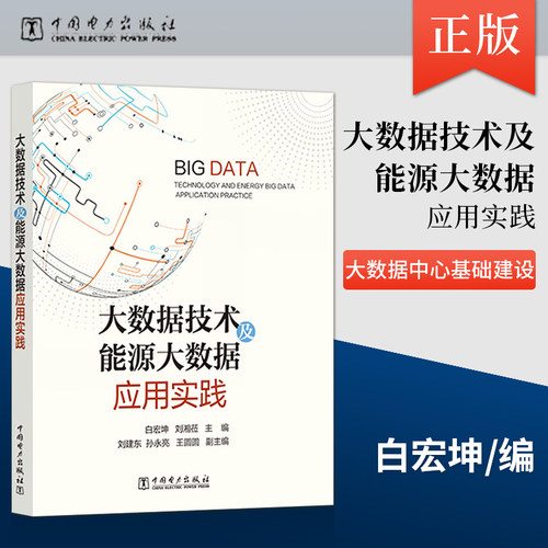 【出版社直供】大数据技术及能源大数据应用实践 大数据中心基础设施建设书 大数据平台的技术架构数据架构应用架构安全和隐私保护