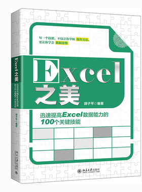 【出版社直供】Excel之美 迅速提高Excel数据能力的100个关键技能 设置与优化单元格的数字格式 办公自动化软件新专业科技书籍