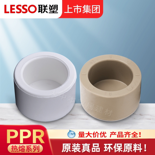 联塑ppr4分堵帽广东管件