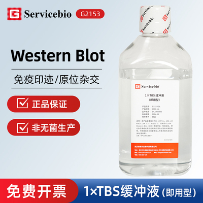 Servicebio赛维尔 G2153 1×TBS缓冲液（即用型）10mM Tris