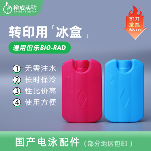 裕成实验电泳转印冰盒