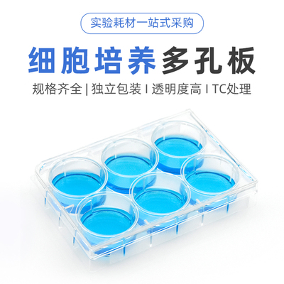 一次性平底细胞培养板kirgen