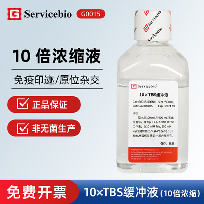 Servicebio赛维尔 G0015 10x TBS缓冲液含100 mM Tris，1.5 M NaC