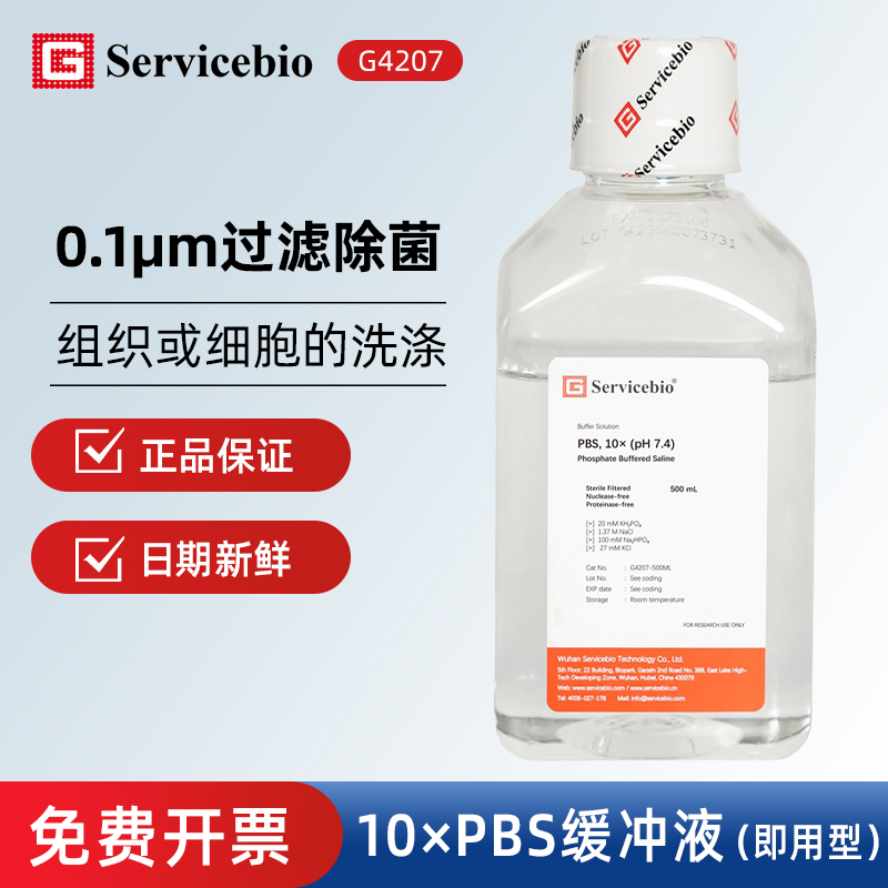 Servicbio10倍磷酸盐缓冲液