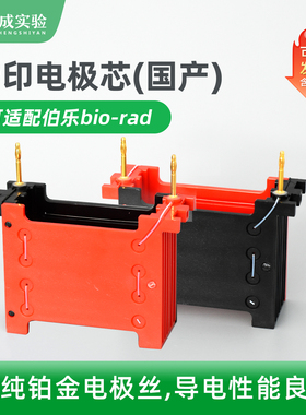 通用bio-rad伯乐小型转印 湿转转印电极芯电泳配件WB转印1703935
