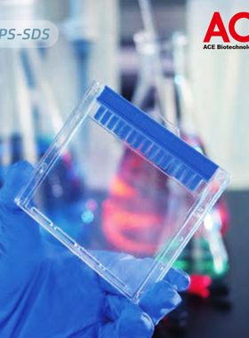 Western blot 蛋白预制胶 SDS-PAGE电泳蛋白胶 MOPS 体系梯度胶