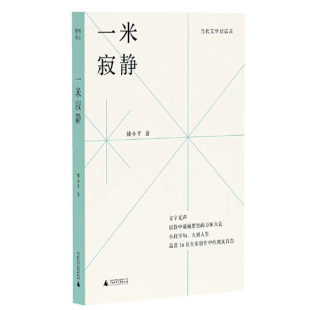 广西师范大学出版 社 现实百态 当代文学对话录：一米寂静 品读16位大家创作中 9787559859211 大到人生 正版 傅小平小到字句
