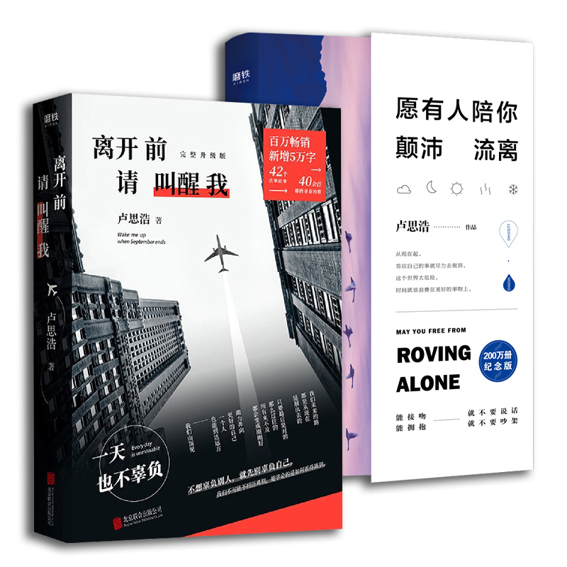 卢思浩作品愿有人陪你颠沛