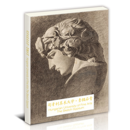 匈牙利美术大学素描石膏人物头像