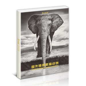 国外精微素描动物绘画临摹卡片明信片大尺寸高清图画册集手绘插画复古出类艺术趣味线描创意黑白超写实狮子