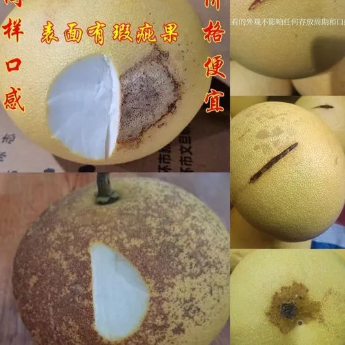 玉环文旦花皮果15斤129元（2-2.5斤大小，6-7个装）江浙沪皖包邮