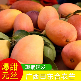 【捂熟了吃】正宗广西百色田东大台农8斤送1斤黄皮芒果坏果包赔