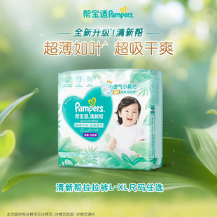 【超薄如叶】帮宝适清新帮拉拉裤干爽防漏L/XL尿不湿试用装