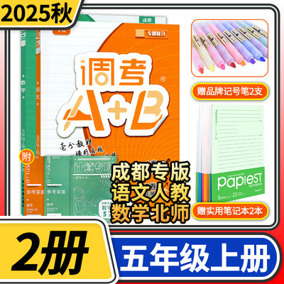 调考A+B语文数学小学生同步训练