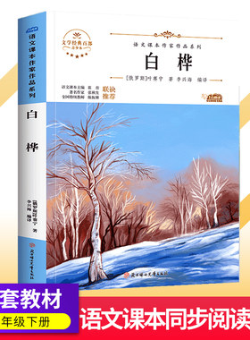 白桦/青少叶赛宁作品 四年级下册课外书人教语文教材同步阅读书7-8-9岁儿童带插图童话故事书北方妇女儿童出社