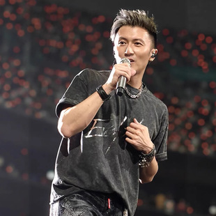 谢霆锋进化演唱会周边同款短袖T恤男2025新款洗水做旧重磅衣服潮