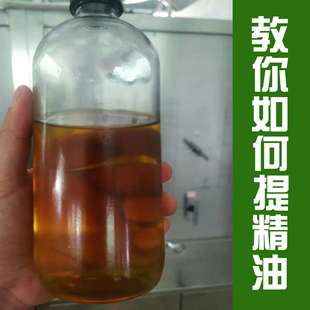 MSDS 代加工精油 可提供COA 中药精油加工 精油代加工贴牌 报送码