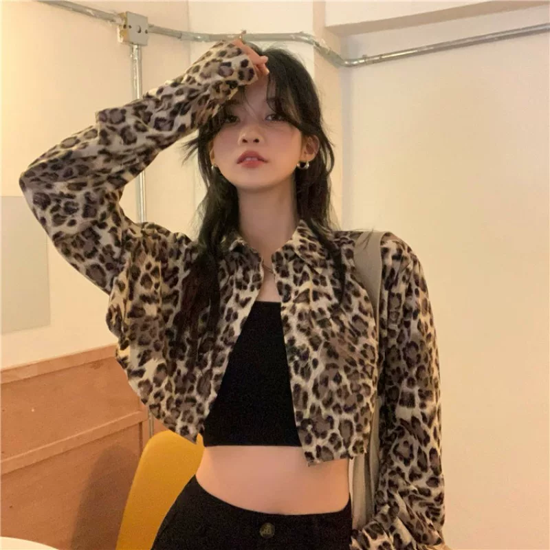 Autumn short spring jacket, 2022 collection, high-quality style