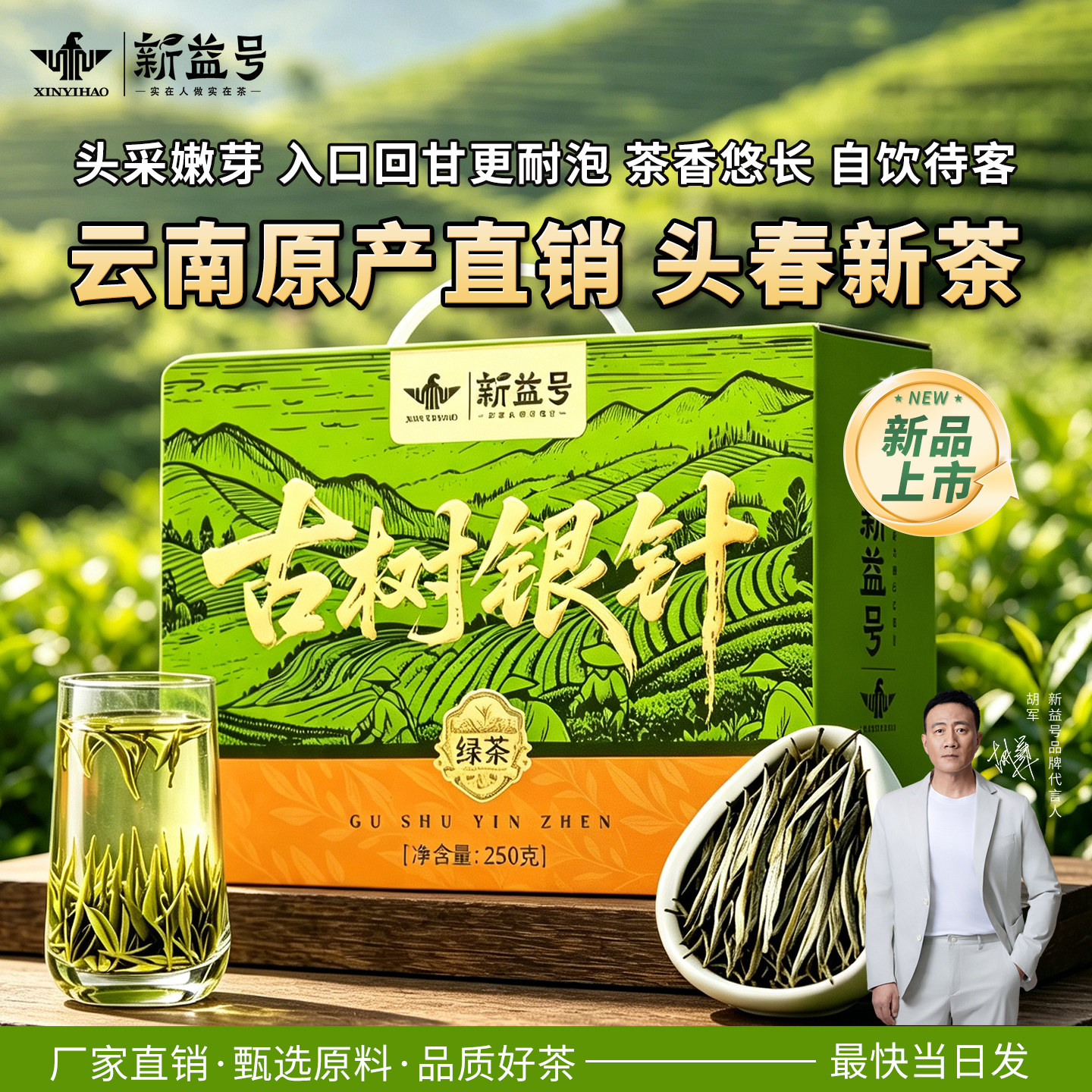 绿茶2026年新茶新益号云南毛尖茶叶口粮茶中国十大名茶散茶冷泡茶