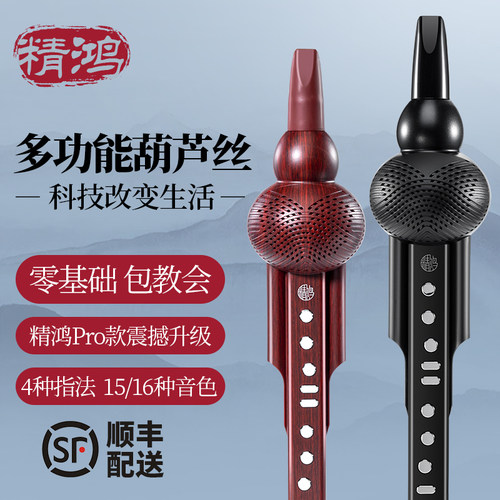 精鸿葫芦丝多功能初学演奏
