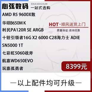 AMD 黑悟空专属 9600X 一揽子系列 科 心弦推荐 心弦数码 黑猴子