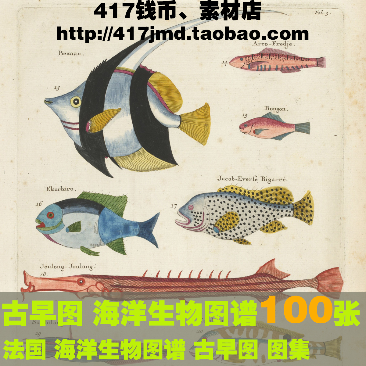 [古早图 图谱]法国 Louis Renard 海洋生物 鱼类 临摹图片素材