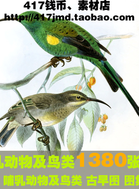 [古早图 图谱]荷兰John Gerrard Keulemans 哺乳动物禽鸟图片素材