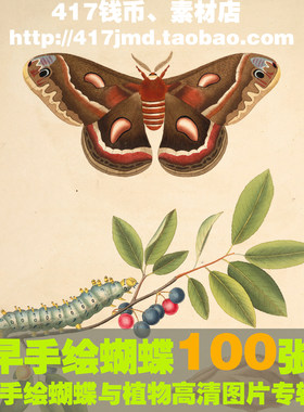 [古早图 图谱]100张 手绘蝴蝶植物 无框画画芯图片喷绘临摹素材