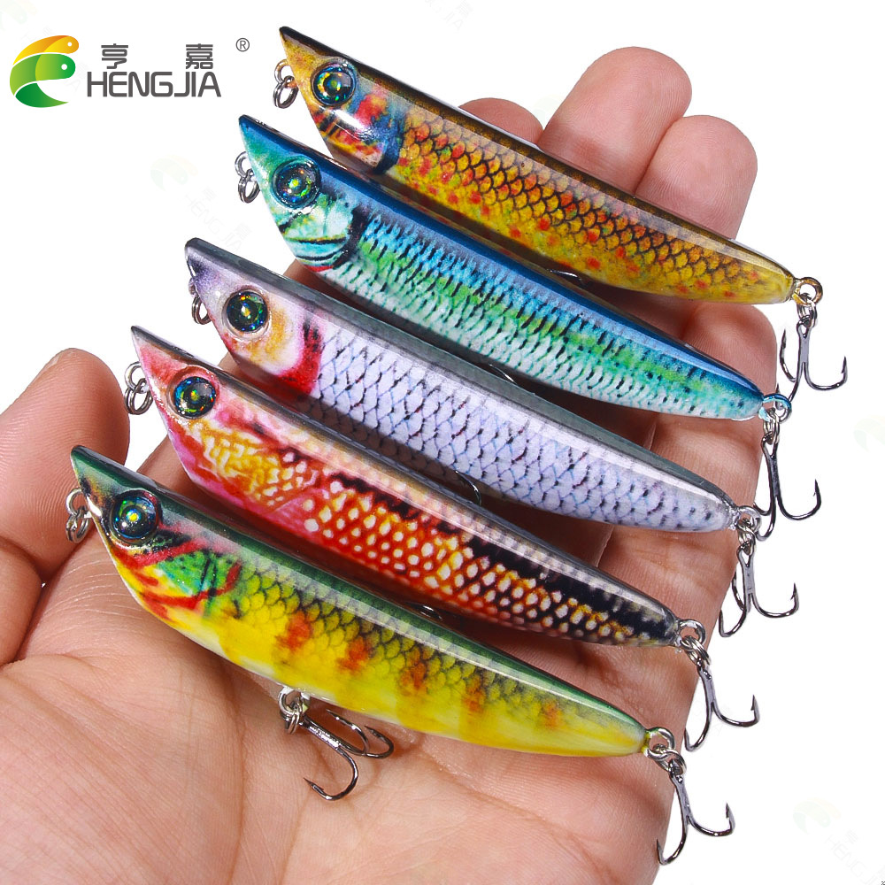 沉水铅笔柏湾路亚之字狗