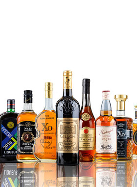 样板房间酒店酒柜XO洋酒道具模型