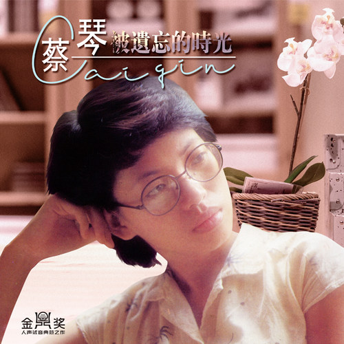 正版 蔡琴 被遗忘的时光 LP黑胶唱片老式留声机专用12寸唱盘
