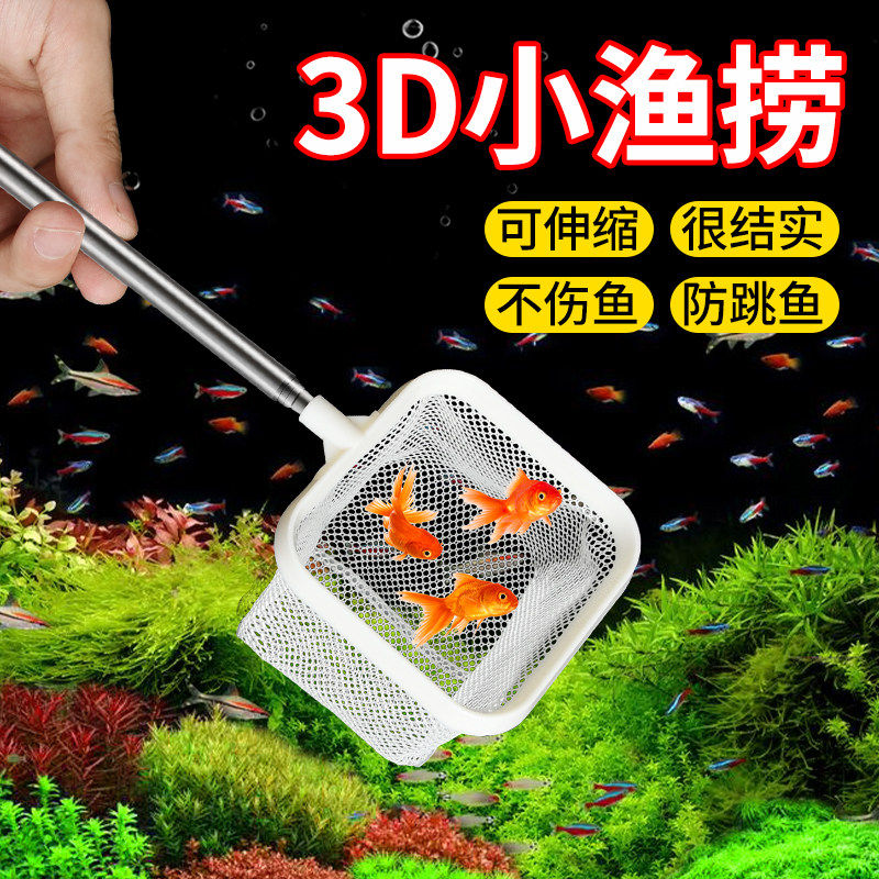 鱼捞捞鱼网鱼缸网捞小鱼小号3d渔捞抄网兜密网手抄鱼网热带观赏鱼