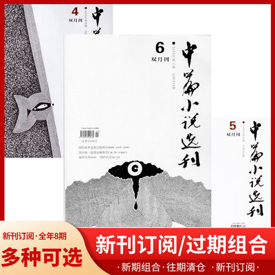 中篇小说选刊新刊预定处理正版