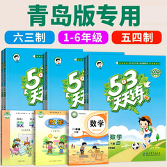 2025春/2024秋 53天天练小学数学六三制青岛版五四制一年级二四六年级下册新最5.3小儿郎五三年级上册同步训练习册青岛出版社山东