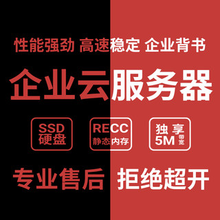 企业型云服务器租用建站游戏网络CN2宝塔Linux月付香港阿里腾讯云