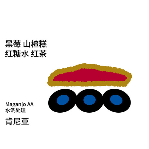 治光师肯尼亚AA水洗咖啡豆
