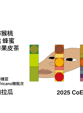T系列尼加拉瓜El Guacalito CoE #5 日晒 Africano手冲咖啡豆100g