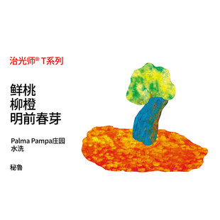 秘鲁CoE#28 Palma Pampa庄园竞标水洗瑰夏精品手冲咖啡豆浅烘100g