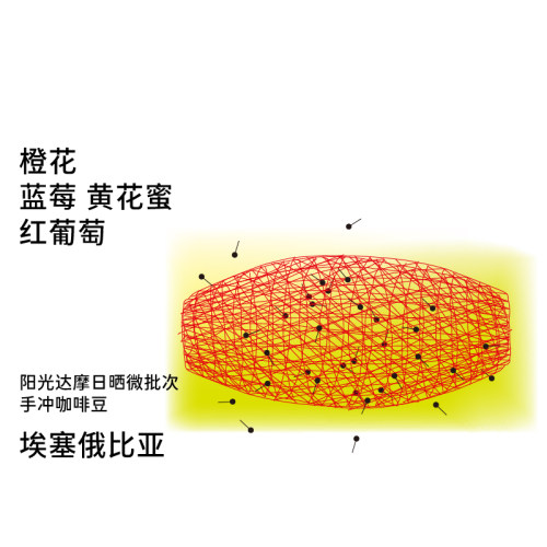 治光师埃塞耶加雪菲新产季咖啡豆