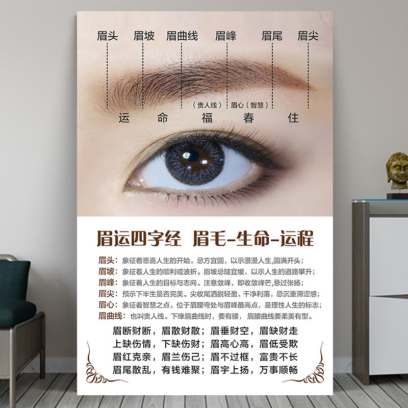 眉毛展示图海报广告宣传挂画眉运四字经眉眼唇睫毛展示板纹绣图片