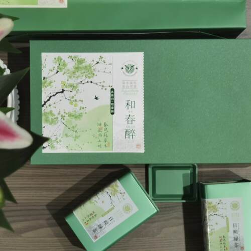 山东日照绿茶2025年新茶叶春茶高山云雾炒青毛尖礼盒装浓香型250g