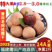 包邮 福建莆田农家特产当季 新货2斤 煲汤14A特级果零食小核大龙眼干
