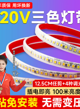 220v三色变光灯带自粘led软灯条客厅吊顶电视卧室氛围灯户外防水
