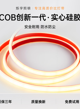 烁宇灯带led灯条220v户外防水客厅超亮护眼家用新室外硅胶cob灯带