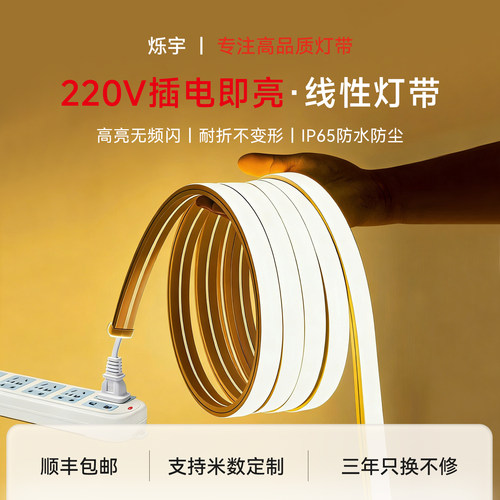 220V灯带/无需变压器/通电即用